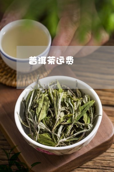 普洱茶运费/2023090590686