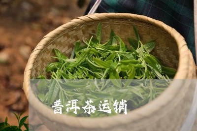 普洱茶运销/2023090539583