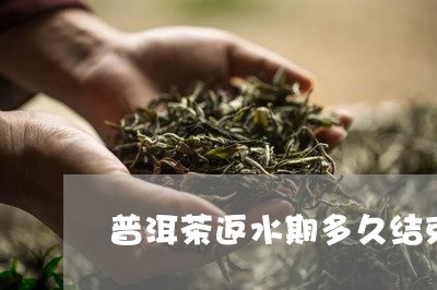 普洱茶返水期多久结束呢/2023102524150