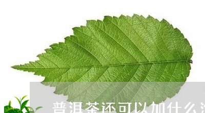 普洱茶还可以加什么泡/2023062300703