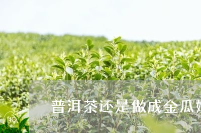 普洱茶还是做成金瓜好/2023073003836