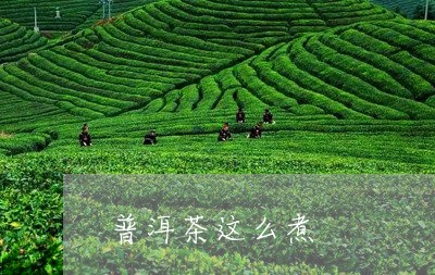 普洱茶这么煮/2023042711643