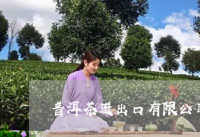 普洱茶进出口有限公司/2023092803826