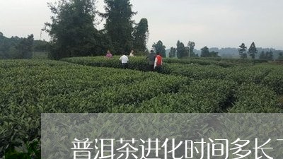 普洱茶进化时间多长了一斤/2023121726926