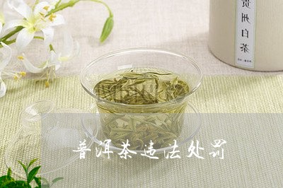 普洱茶违法处罚/2023091471493