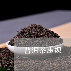 普洱茶违规/2023090540381