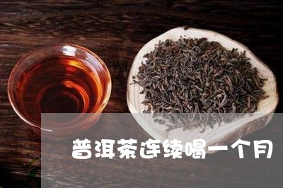 普洱茶连续喝一个月/2023112507258