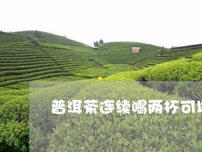 普洱茶连续喝两杯可以吗/2023112777359