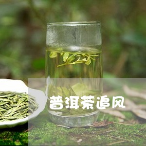 普洱茶追风/2023102540270