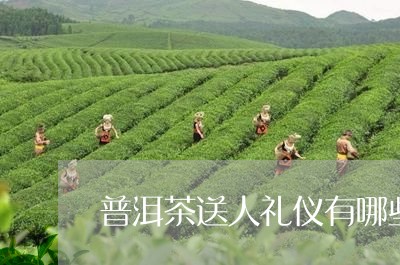 普洱茶送人礼仪有哪些规定/2023110469735