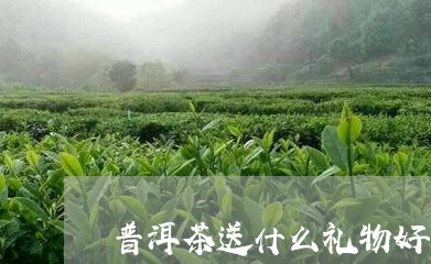 普洱茶送什么礼物好喝/2023100668469