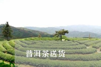 普洱茶送货/2023102592926