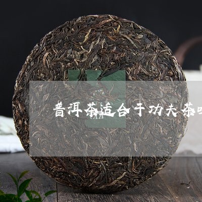 普洱茶适合于功夫茶吗/2023110300692