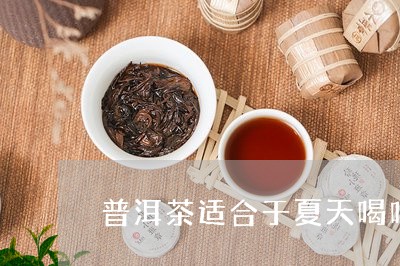 普洱茶适合于夏天喝吗/2023092894836