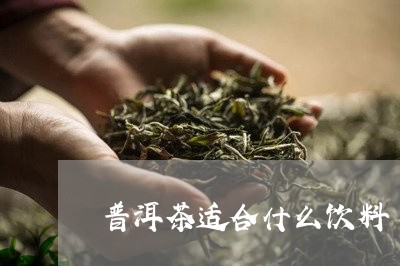 普洱茶适合什么饮料/2023091315261