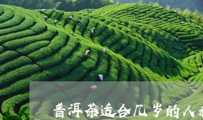 普洱茶适合几岁的人和/2023100653938