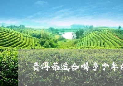 普洱茶适合喝多少年的/2023062992825