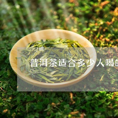 普洱茶适合多少人喝的茶/2023083041573