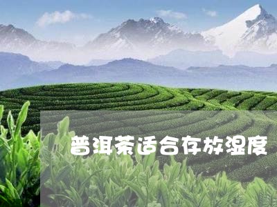 普洱茶适合存放湿度/2023120535069