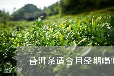 普洱茶适合月经期喝吗/2023092872746