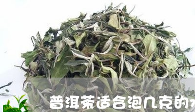 普洱茶适合泡几克的水壶/2023121736150