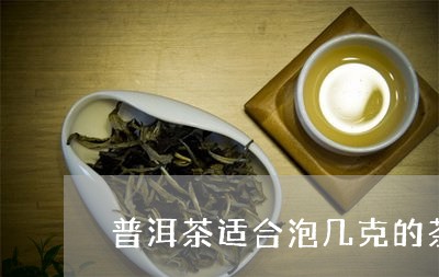 普洱茶适合泡几克的茶杯/2023121701492