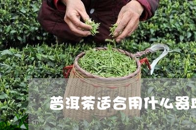 普洱茶适合用什么器皿存储/2023081540684