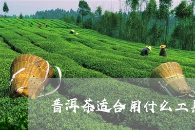 普洱茶适合用什么工具泡/2023082580693