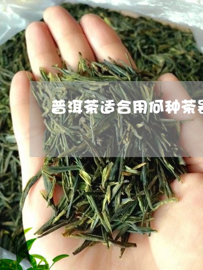 普洱茶适合用何种茶器/2023080103027