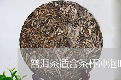 普洱茶适合茶杯冲泡吗/2023080344149