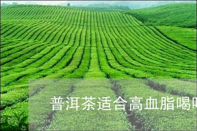 普洱茶适合高血脂喝吗/2023093062694