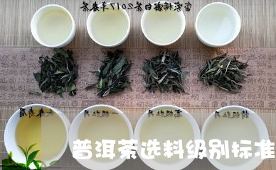 普洱茶选料级别标准是什么/2023121738369