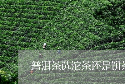 普洱茶选沱茶还是饼茶好/2023110187512