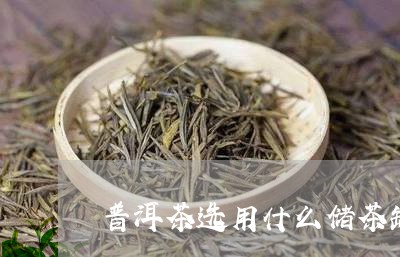 普洱茶选用什么储茶罐/2023100589605