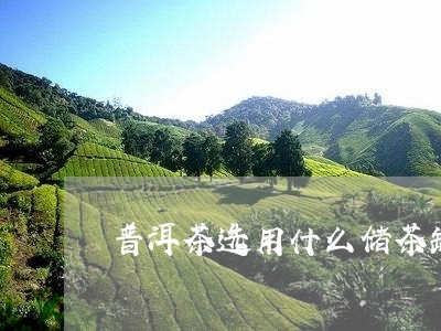 普洱茶选用什么储茶罐最好/2023110769560