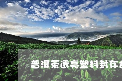 普洱茶透亮塑料封存合/2023062420660