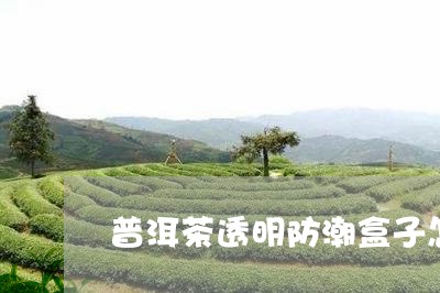 普洱茶透明防潮盒子怎么用/2023110584948