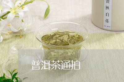 普洱茶通拍/2023102500793