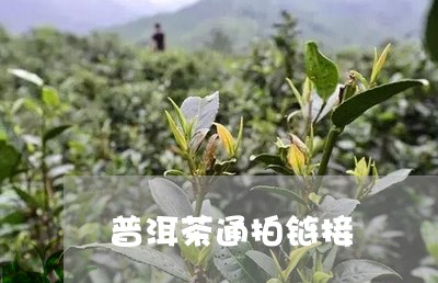 普洱茶通拍链接/2023101634816