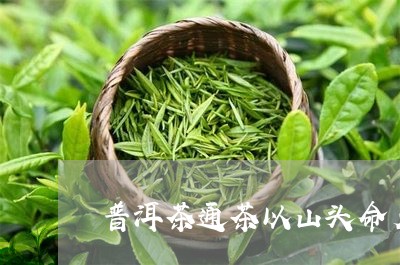 普洱茶通茶以山头命名/2023100735148