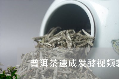 普洱茶速成发酵视频教程/2023102423703