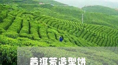 普洱茶造型饼/2023042746004