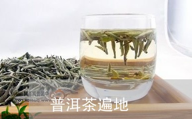 普洱茶遍地/2023090538170