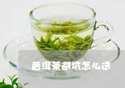 普洱茶避坑怎么选/2023110305040