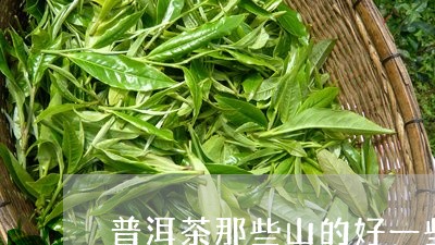 普洱茶那些山的好一些/2023061463969