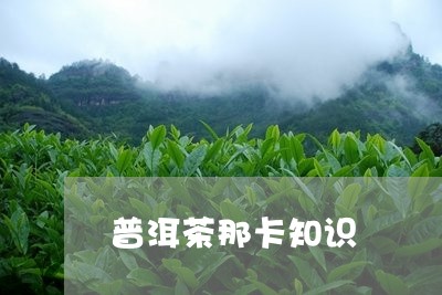 普洱茶那卡知识/2023083036260