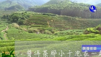 普洱茶那小干泡在一起/2023092592826