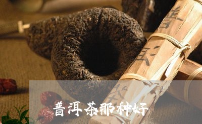 普洱茶那种好/2023042984066