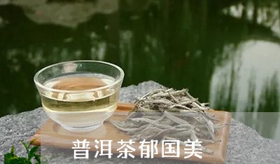 普洱茶郁国美/2023042772879