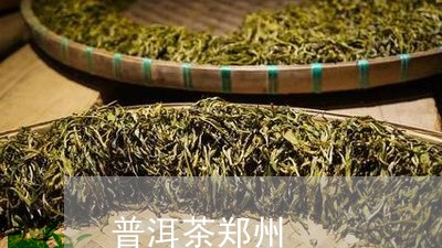 普洱茶郑州/2023090631605